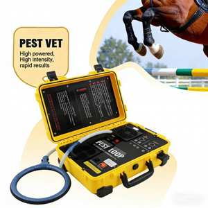 Alat Terapi Harga Terbaik untuk Perawatan Kesehatan Tubuh, Peralatan Negatif untuk Penggunaan di Rumah, Tahan Nyeri untuk Kuda - Product Image 1