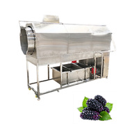Fruit- en groentewas- en drooglijnapparatuur