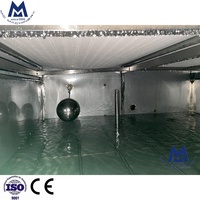 Machine de pasteurisation et de stérilisation automatique pour bouteilles de bière, canettes et bocaux, tunnel de refroidissement, pasteurisateur à pompe, contrôlée par PLC, 220V/380V