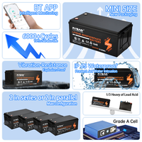Batterie de remplacement au lithium LiFePO4 étanche IP67 25,6 V 200 Ah 6000 cycles avec BMS intégré pour voiturette de golf