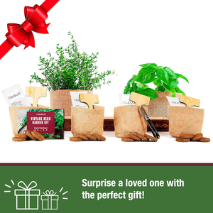 Kit de culture de <span class=keywords><strong>jardin</strong></span> urbain vintage pour herbes aromatiques Kit d'herbes d'intérieur pour adultes démarreur de plantes - Product Image 2