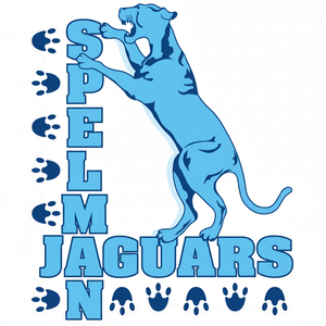 INSIGNIA DE BORDADO HECHO A MÁQUINA BORDADO HIERRO EN PARCHE DISEÑO DE PARCHE DE CALIDAD PREMIUM - Product Image 1