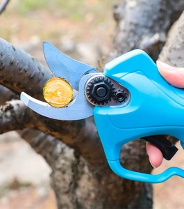 Sécateur électrique rechargeable pour arbres fruitiers de <span class=keywords><strong>grand</strong></span> diamètre sécateur sans brosse à batterie au lithium haute puissance - Product Image 3