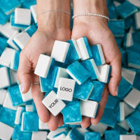 Set Mahjong Resin Lapis Ganda Warna Biru Berkilau dengan Logo Kustom, Permainan Keluarga untuk Acara Luar Ruangan