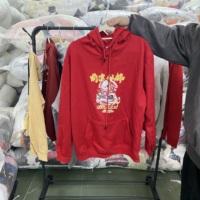 Lots de sweats à capuche d'occasion pour boutiques – Vente en gros de sweats à capuche de seconde main pour la revente