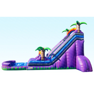 NBINFLATABLE Commercial Tropical Palm Tree <b>Water</b> With Pool for Kids and Adult <b>Water</b> <b>Slide</b> With Pool Commercial - Product Image 3