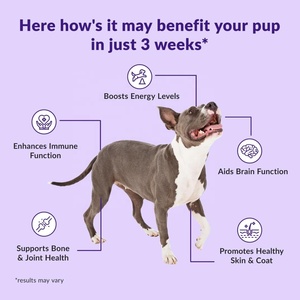 Masticables suaves multivitamínicos con sabor a pavo Premium para perros, aumentan la energía de la inmunidad, reducen la <span class=keywords><strong>ansiedad</strong></span>, alergias e inflamación - Product Image 2