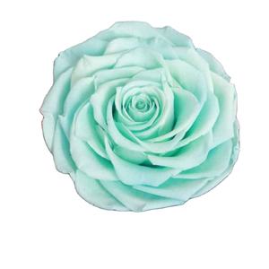 Roses <span class=keywords><strong>éternelle</strong></span>s avec fleurs er, 7/lot, Roses conservées, vente en gros - Product Image 3