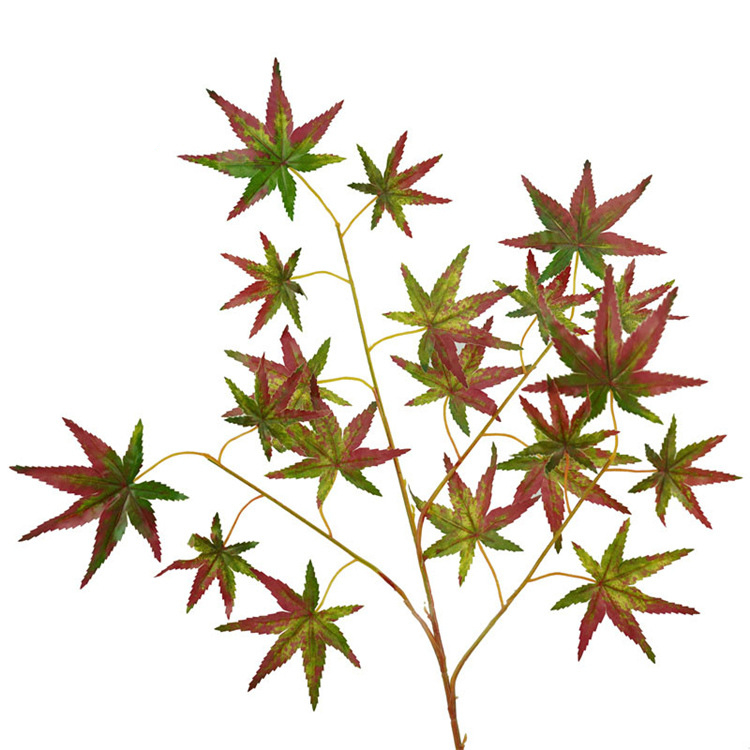 Couleur 2