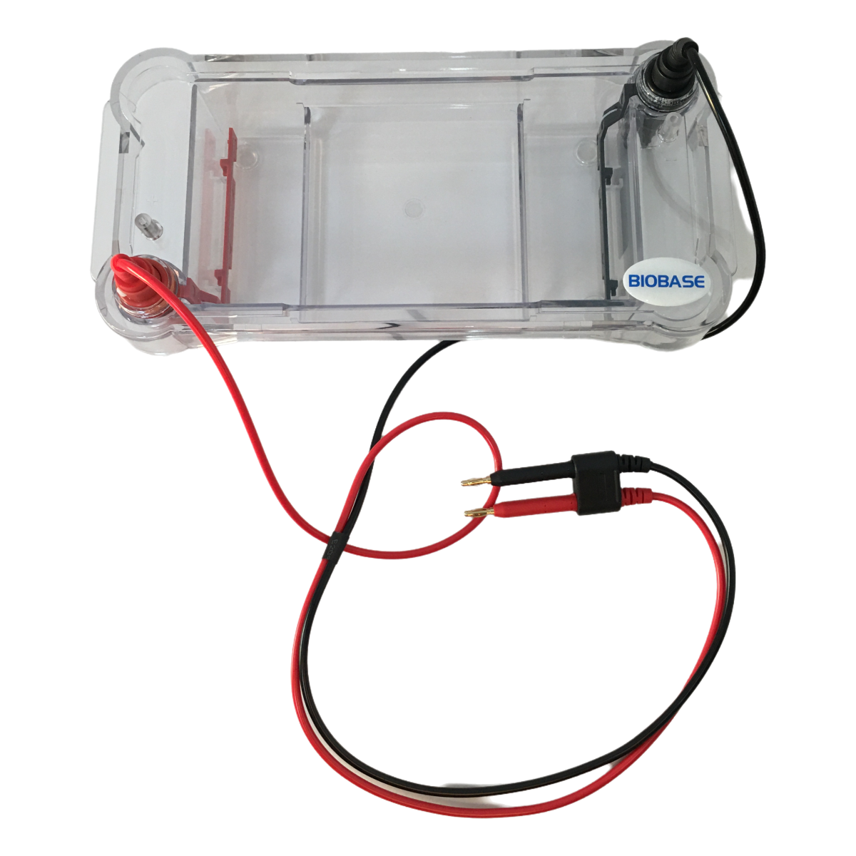 electrophoresis tank
