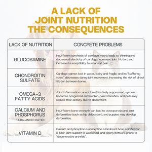 Private Label Joint Care Powder Supplement unterstützt den Knorpel und hilft beim Schutz des Knorpels und bei der Aufrechterhaltung der Gelenk gesundheit - Product Image 5