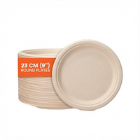 Assiettes jetables en bagasse 100 % biodégradables, résistantes, écologiques, blanches naturelles, 9 pouces, compatibles micro-ondes, pour les fêtes