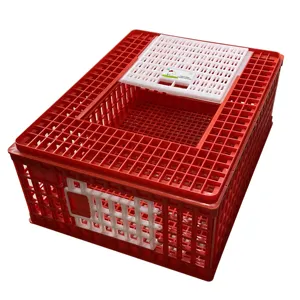 LMC 02 Poultry Equipments Plastic Poultry Carrier Transport Crate 3 Doors Chicken Transport Cage