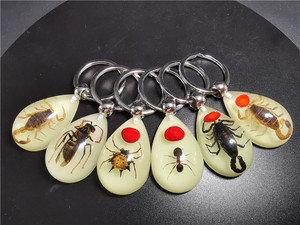 LLavero de insecto ámbar luminoso para hombres y mujeres Nuevo diseño Resina Animal Espécimen Joyería - Product Image 4
