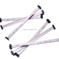 Câble plat IDC personnalisé de 2,54 mm avec connecteur FC 6/8/10/14/16/20/26/30/34/40P, double rangée, prise IDE, câble femelle FC 40 broches