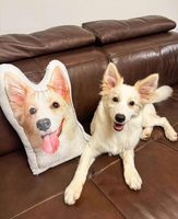 Coussin personnalisé en forme de photo de votre animal de compagnie – Oreiller imprimé par sublimation avec visage de chien ou de chat – Coussin rembourré avec portrait d'animal