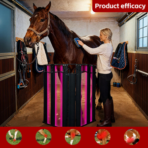 Solárium para Caballos <span class=keywords><strong>de</strong></span> 700W con 552 LED <span class=keywords><strong>de</strong></span> Múltiples Longitudes <span class=keywords><strong>de</strong></span> Onda, Personalizable para Centros <span class=keywords><strong>de</strong></span> Bienestar y Recuperación Equina - Product Image 3