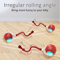 Balle interactive intelligente électrique pour chat avec son d'oiseau, auto-roulante, rechargeable, jouet interactif pour chat avec corde