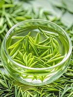 Extrait de thé vert naturel en poudre 10:1 20:1, fourni par l'usine