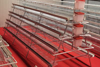 Cage à poules galvanisée de haute qualité pour système de production d'œufs en élevage avicole, fournie directement par l'usine