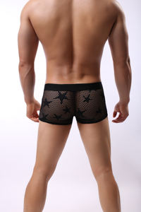 Sous-vêtements pour hommes, sous-vêtements sexy en maille transparente, boxers amusants transparents, sous-vêtements pour hommes - Product Image 6