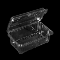 Boîte en plastique PET transparente jetable rectangulaire avec finition gaufrée pour l'emballage des fruits
