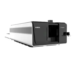 LF8025GH cnc değerli fiber metal lazer kesme makinesi