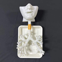 Simulateur de formation en bronchoscopie - Modèle d'arbre bronchique humain pour la formation médicale respiratoire