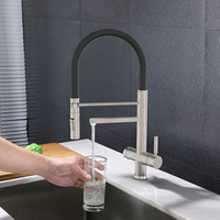 DOGO 5 en 1 cuisine mitigeur douche pulvérisation retirer tirer vers le bas acier inoxydable brossé 5 voies filtre eau osmose mitigeur