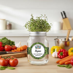 Kit de culture en bocal en verre moderne à faible entretien, auto-arrosant, pour le thym, pour le rebord de fenêtre et le jardin <span class=keywords><strong>d</strong></span>'herbes aromatiques au sol, cadeau - Product Image 5