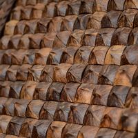 Mosaico de Cáscara de Coco Natural de la Marca COCO-ECO para Restaurante/Panel de Cáscara de Coco Natural de Alta Calidad Cpimex/Panel Artístico