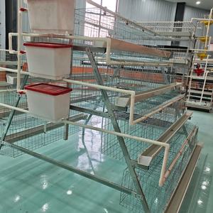Meilleure qualité Bon prix Poules pondeuses élevage de poules pondeuses Cage en batterie type A Cage pour poules pondeuses Équipements pour volaille pondeuse - Product Image 2