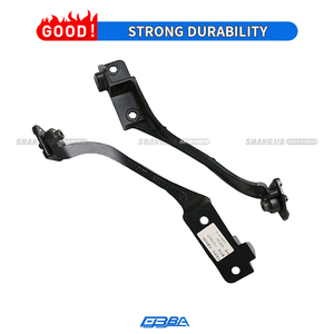 Piezas de automóvil se adapta a la bisagra de capó de coche de Material Original para McLaren 650 12C L 11A1087CP R 11A1086CP - Product Image 2