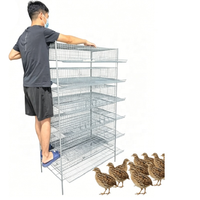 Poulailler à cailles empilable multi-niveaux pour les éleveurs de jardin, avec mangeoire automatique et plateau facile à nettoyer