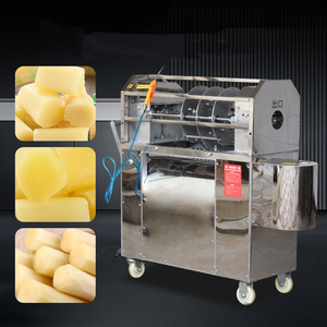 Machine à peler et à éplucher la canne à sucre en acier inoxydable, facile à utiliser, garantie 1 an, fournie directement par l'usine - Product Image 5