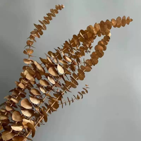 Feuilles d'eucalyptus préservées très demandées - Eucalyptus séché en spirale pour la décoration intérieure et les mariages