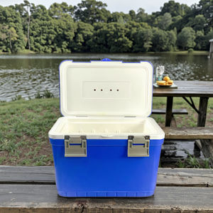 13L all'ingrosso della fabbrica Medical Medical Cooler Carrier <span class=keywords><strong>Box</strong></span> ospedale 13L Mini scatola isolante - Product Image 2