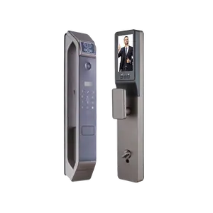 LEZN K10 più popolare fabbrica OEM impronta intelligente serratura intelligente con telecamera di sorveglianza Wifi filo automatico S