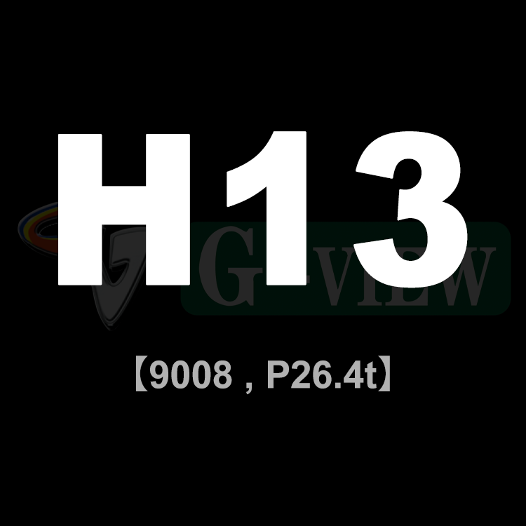 H13