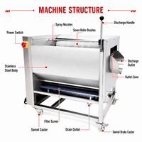 Fruit- en groenteschilmachine, aardappelschilmachine, wortelgroentewasmachine, borstelschiller voor cassave, gember, wortel