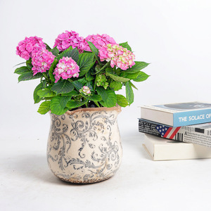 Suministros de <span class=keywords><strong>jardín</strong></span> esmaltados de diseño <span class=keywords><strong>chino</strong></span> moderno decorativo, hermosas macetas, maceta de cerámica para exteriores - Product Image 2