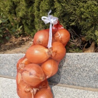Sac de maille mono d'oignon d'ail de pomme de terre de couleur rouge sacs de maille de bonne qualité
