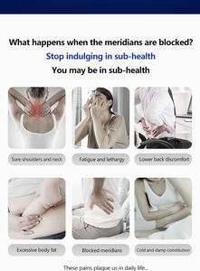 Appareil de gestion de la santé tout-en-un à micro-courant 4-en-1 pour le soulagement des douleurs corporelles, la physiothérapie et la réduction de la fatigue, construction en métal ABS - Product Image 3