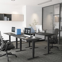 Cadre de bureau debout réglable en hauteur électrique à double moteur, table pour ordinateur portable, bureau ergonomique