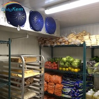 La Mejor Cámara Frigorífica para Pescado, Carne, Verduras, Equipo de Almacenamiento y Congelación de Hielo