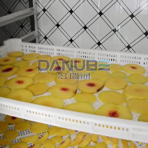 Tray Style Fruit and Vegetable Food Dehydration and Drying Machine Fruit <b>Dehumidifier</b> Processing Equipment - Product Image 3
