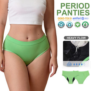 Bragas Menstruales de Fibra de Bambú con 4 Capas y Logo Personalizado, Ropa Interior Sostenible sin PFAS a Prueba de Fugas para Flujo Abundante para Mujer - Product Image 1