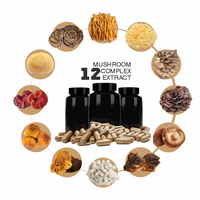 Supplément de santé 12 en 1 extrait de champignon à base de plantes en poudre capsule-crinière de Lions, Reishi, Cordyceps, Chaga, queue de dinde