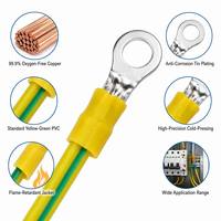 2,5mm 4mm 6mm BVR PVC Gelb-Grüne Solar-Erdungskabel-Anschlüsse Kupfer PV-Stromkabel für Schrank- und Brückenleitungen zur Fehlerstromabschaltung