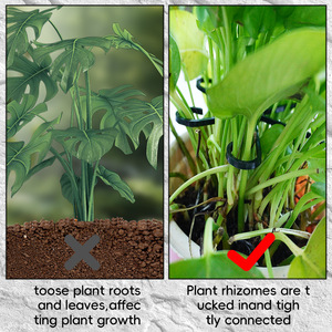 Support de tige de plante en plastique pour fixer les tiges de fleurs, organisateur de plantes de jardin - Product Image 3